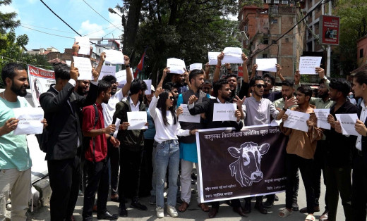 गौहत्याविरुद्ध माइतिघरमा विद्यार्थीहरूले गरे प्रदर्शन